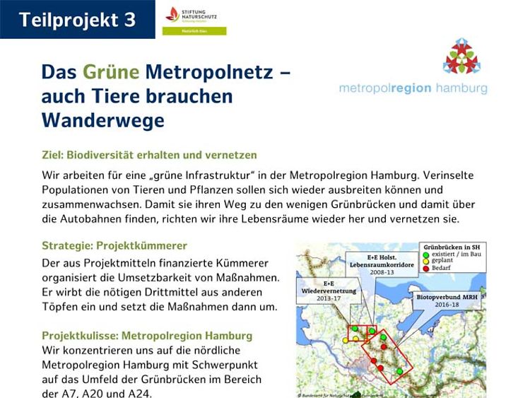  Poster Teilprojekt 3 Grünes Metropolnetz